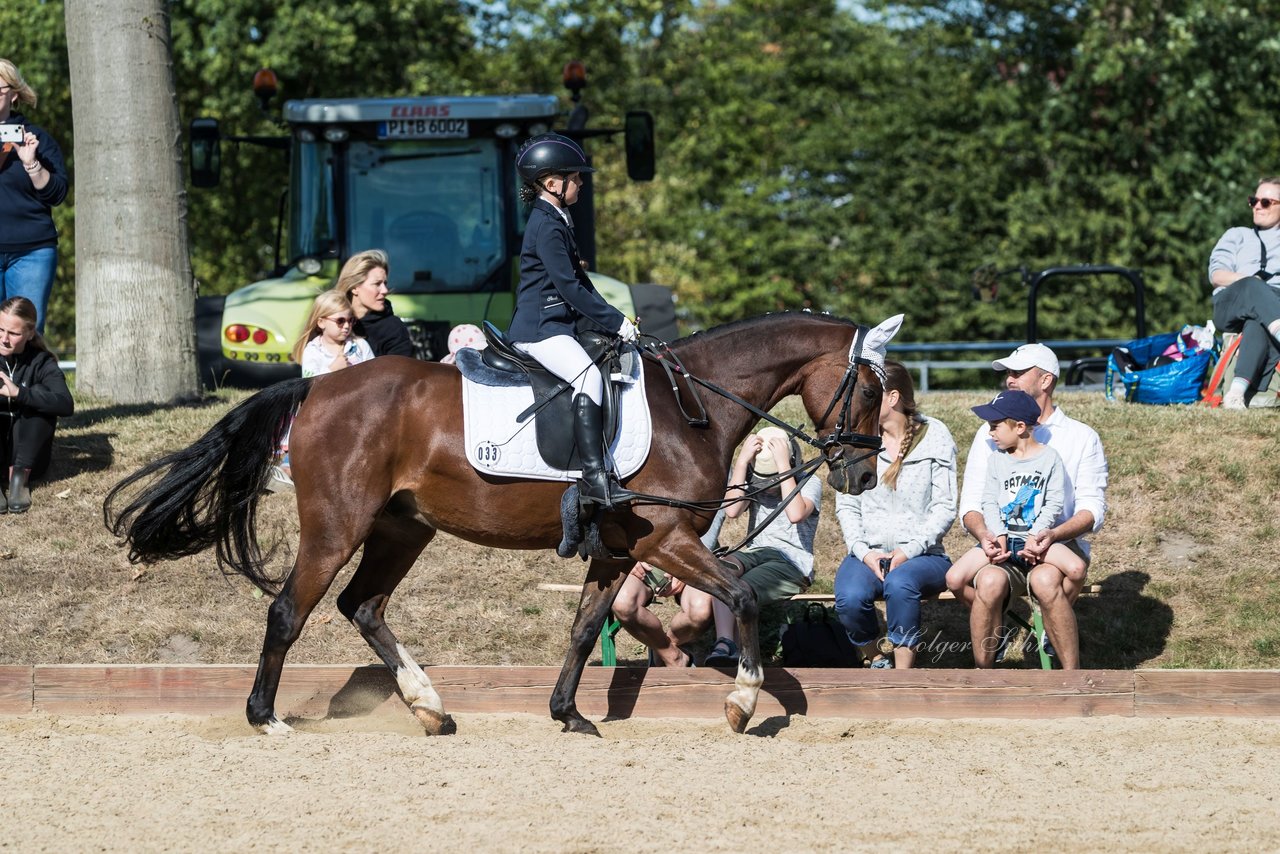 Bild 41 - Pony Akademie Turnier